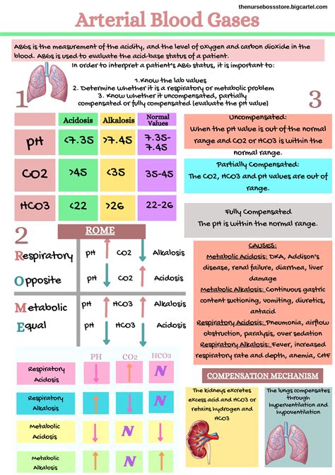 blood gas analyzer notes|arterial gas levels chart.